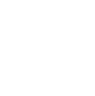 AUTOMATIC
